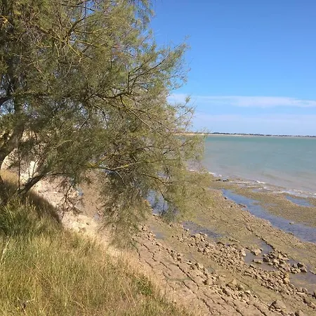 Le Carre Διαμέρισμα